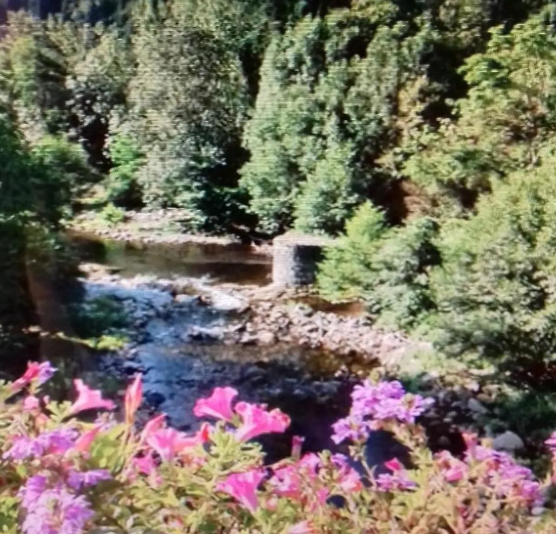 Holiday home Rochel Villa Saint-Julien-Boutieres
