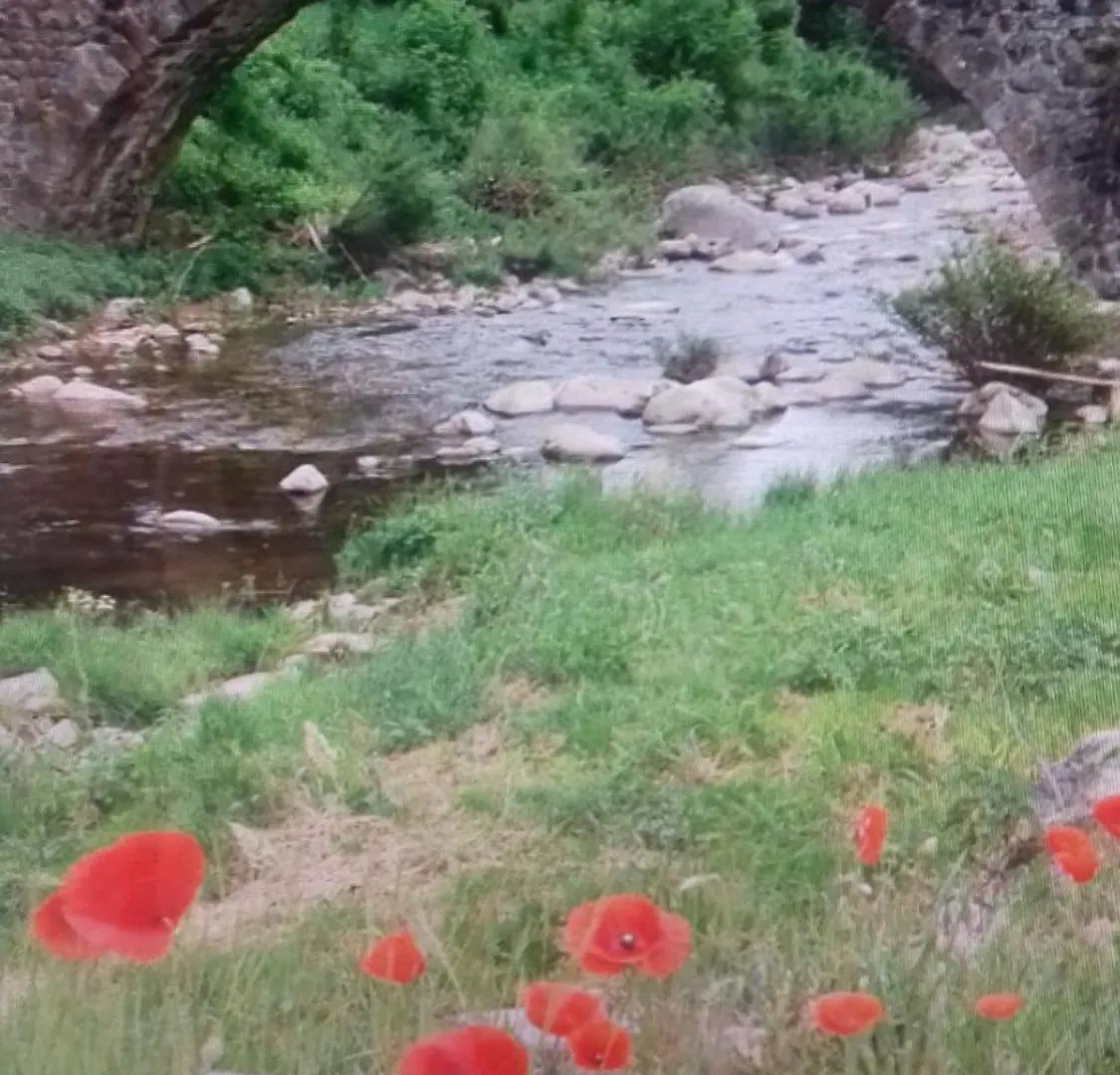 Rochel Villa Saint-Julien-Boutieres